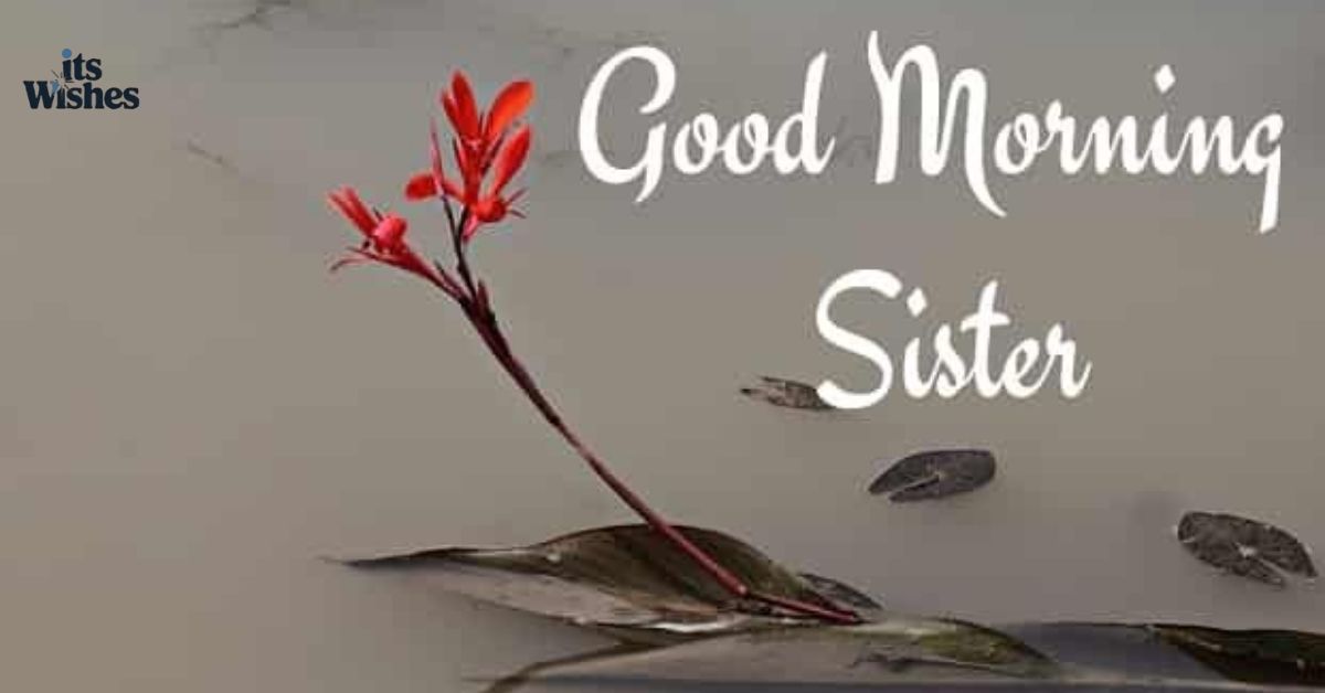 Inspirational Good Morning Quotes for Sister