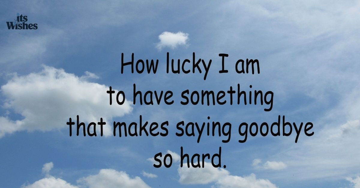 Saying Goodbye to a Cat Quotes