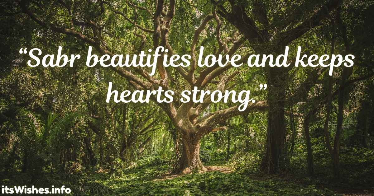 Islamic Quotes About Patience In Love