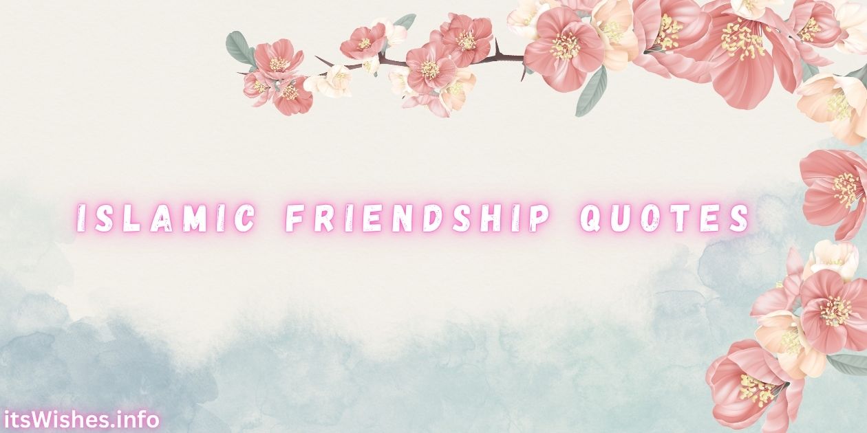 349+ Best Islamic Quotes on Friendship From Quran & Sunnah