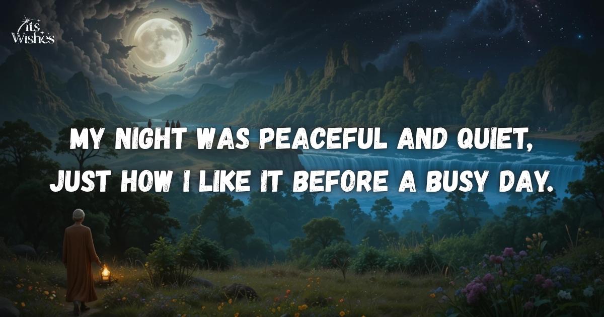55 Excellent Replies to ‘How Was Your Night?’