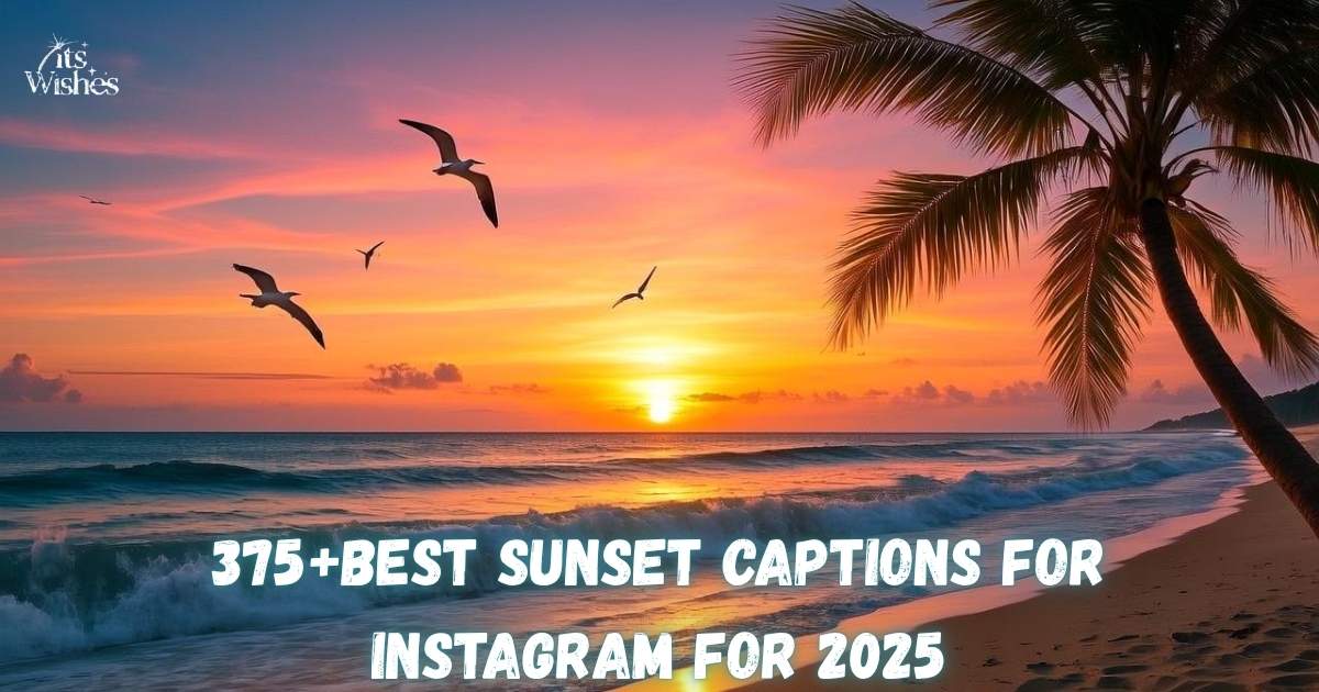 Best Sunset Captions for Instagram